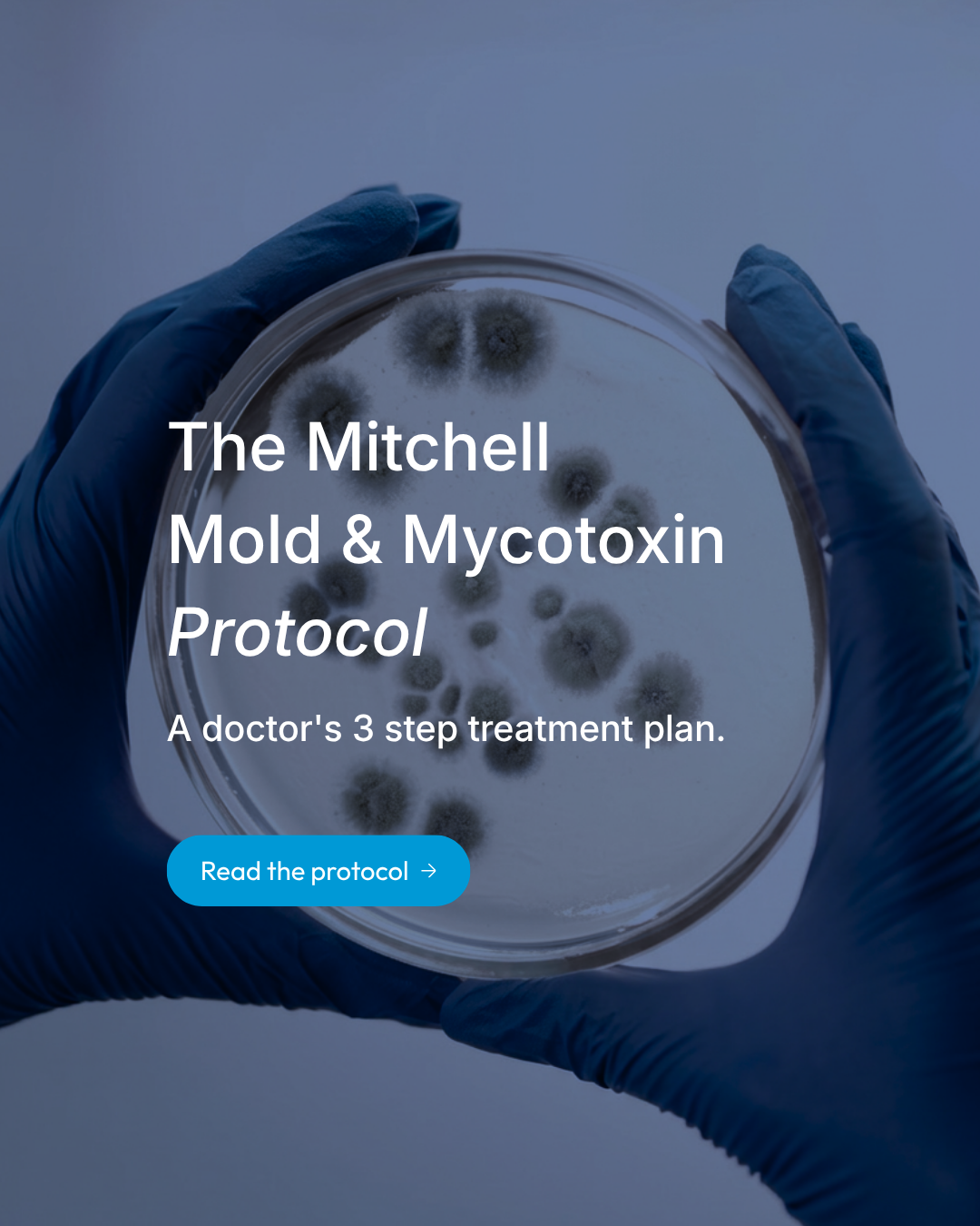 The Mitchell Mold & Mycotoxin Protocol: A Doctor's 3-Step Path to Recovery