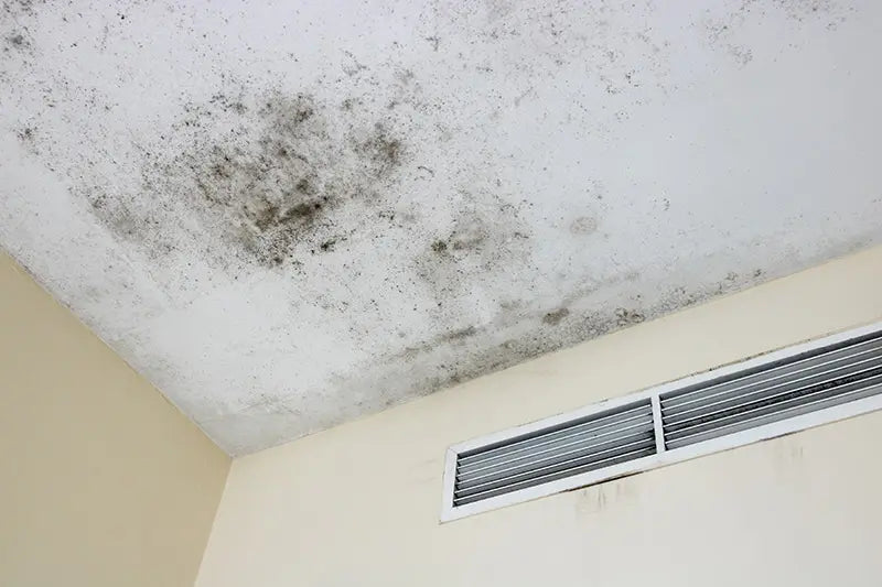 Mold in Your AC and HVAC System: What Homeowners Need to Know Before Summer