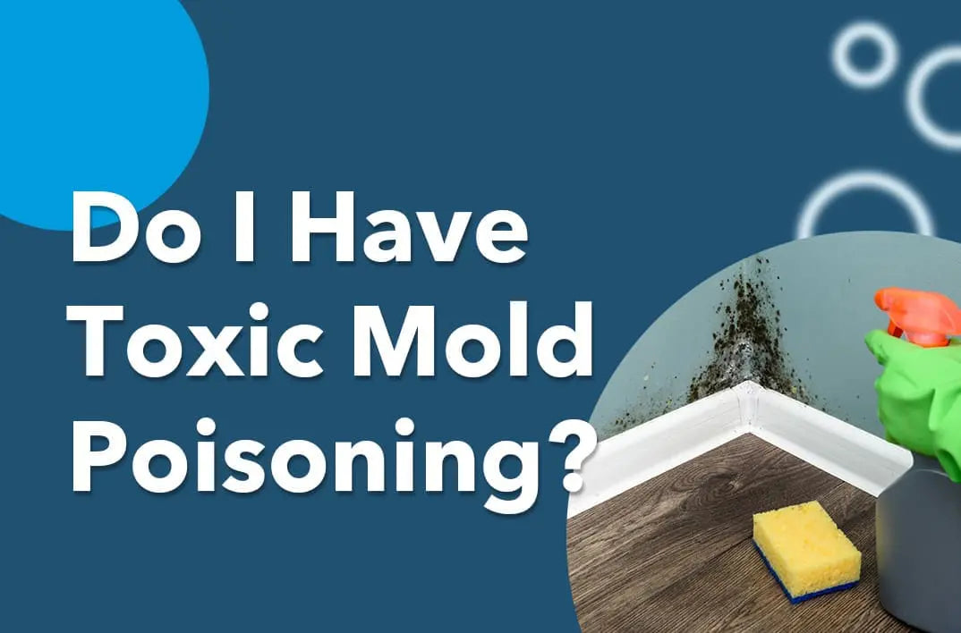 Do I Have Toxic Mold Poisoning?