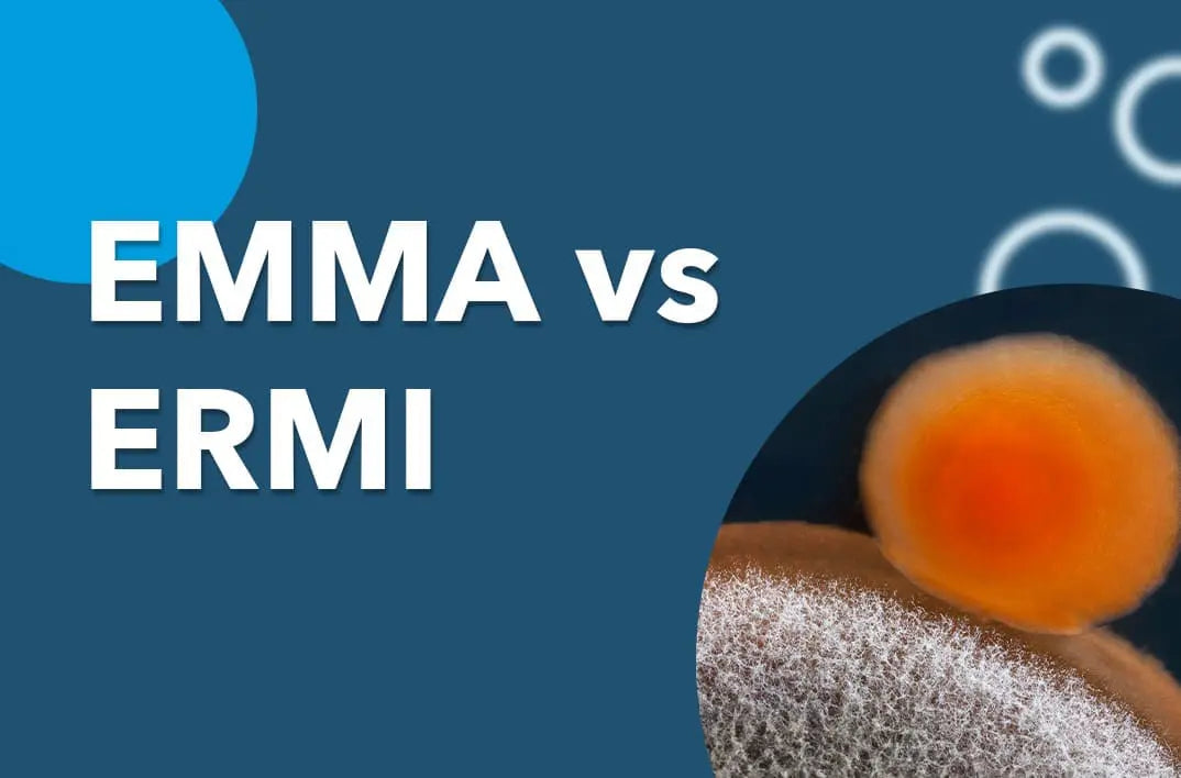 EMMA vs ERMI