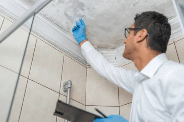 Home testing for mold and mycotoxin