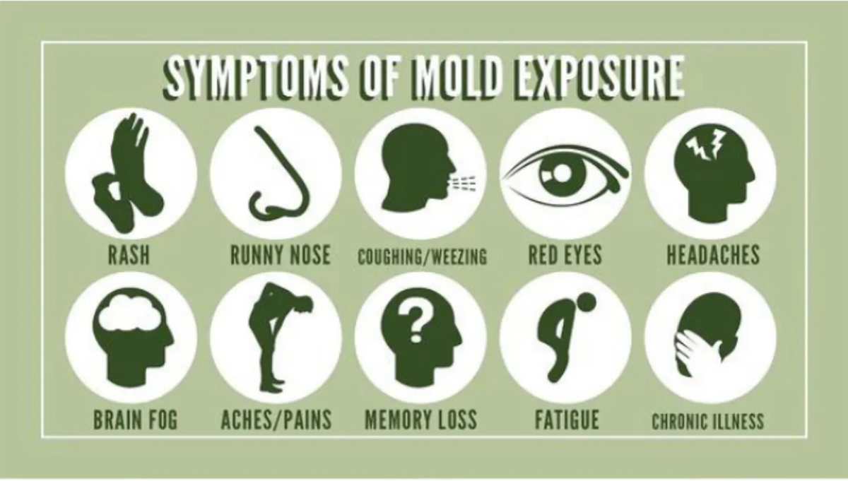Symptoms of Mold Illness