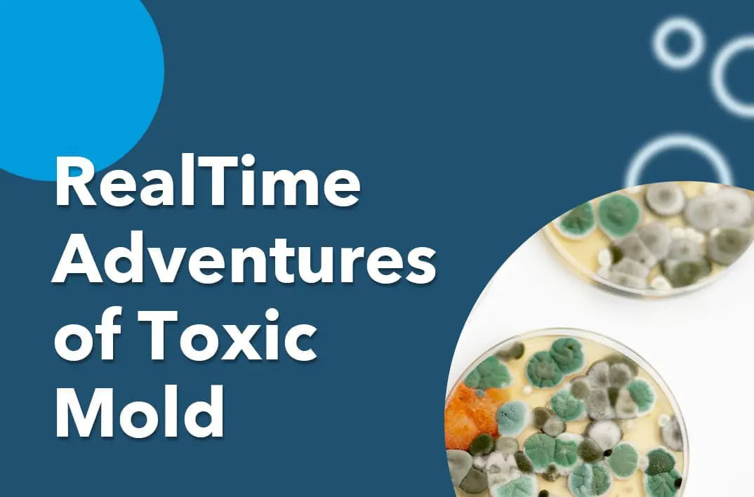 RealTime Adventures of Toxic Mold