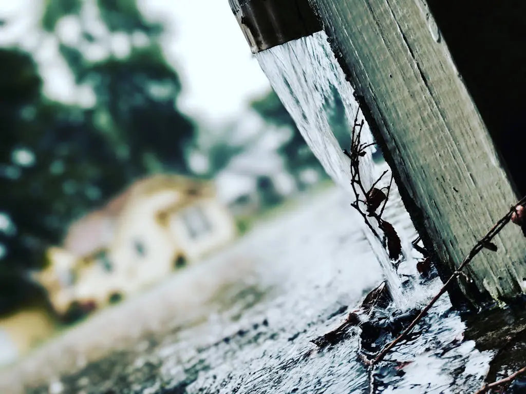 Mycotoxins and Climate Change: Why Mold Is Becoming a Bigger Problem in Our Homes and Food Supply