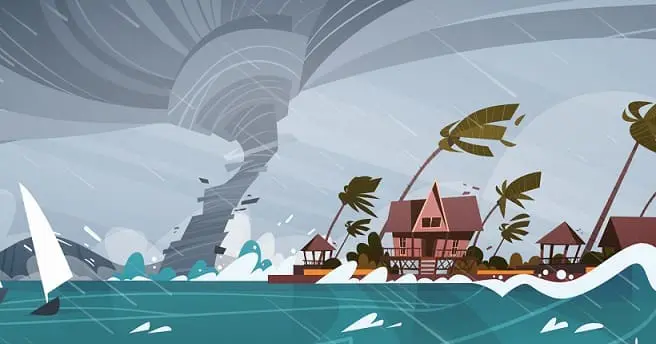 ハリケーンと黒カビ