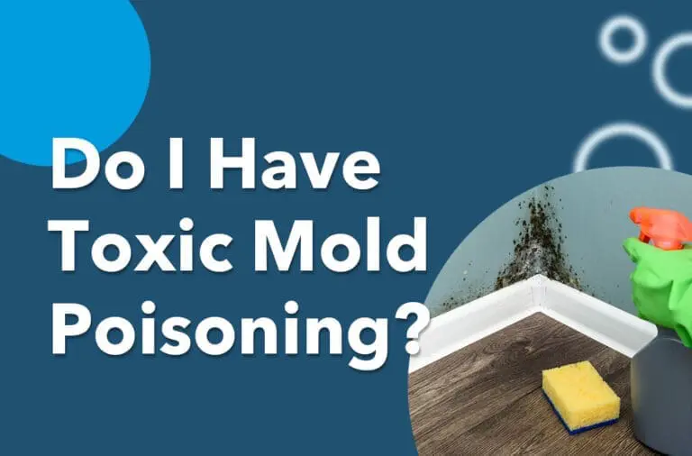 Do I Have Toxic Mold Poisoning?
