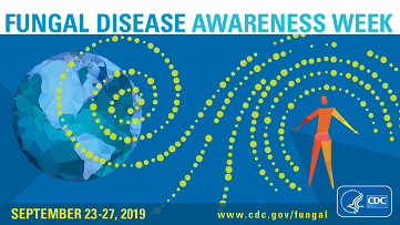 真菌症啓発週間：真菌について考えよう