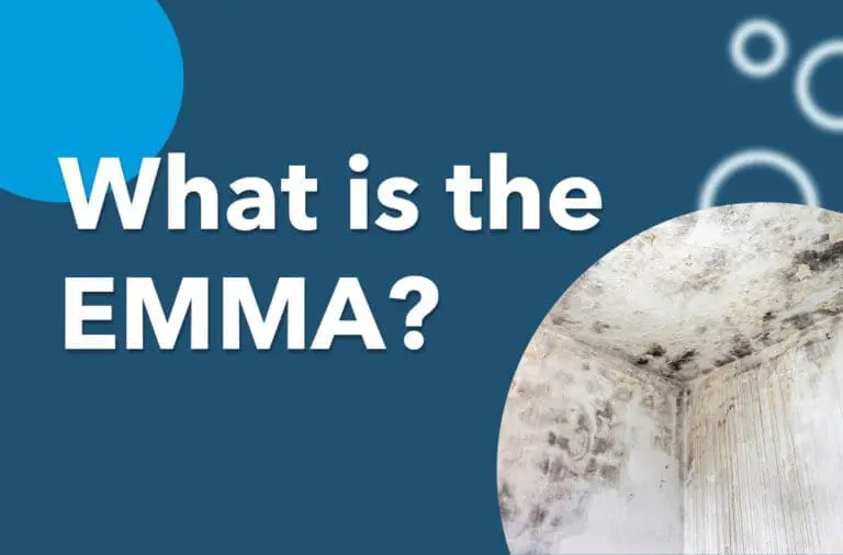 What is the EMMA?