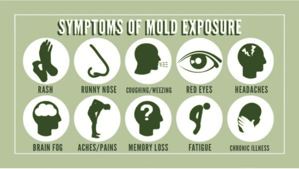 Mold Symptoms in the body