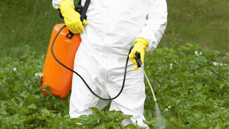 Person spraying glyphosate on farming fields.