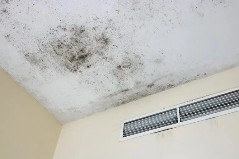 Mold in Your AC and HVAC System: What Homeowners Need to Know Before Summer