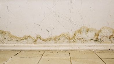 Warning Signs of Mold After Flooding