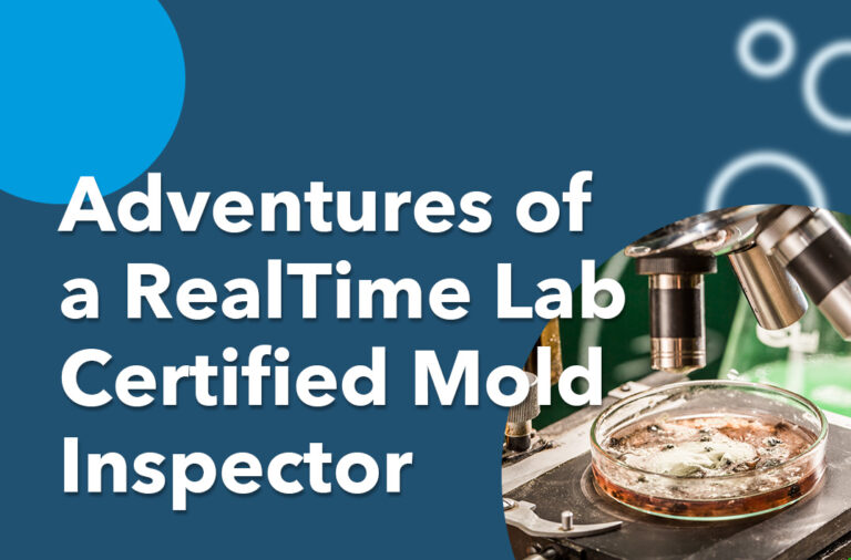 Adventures of a RealTime Lab Certified Mold Inspector