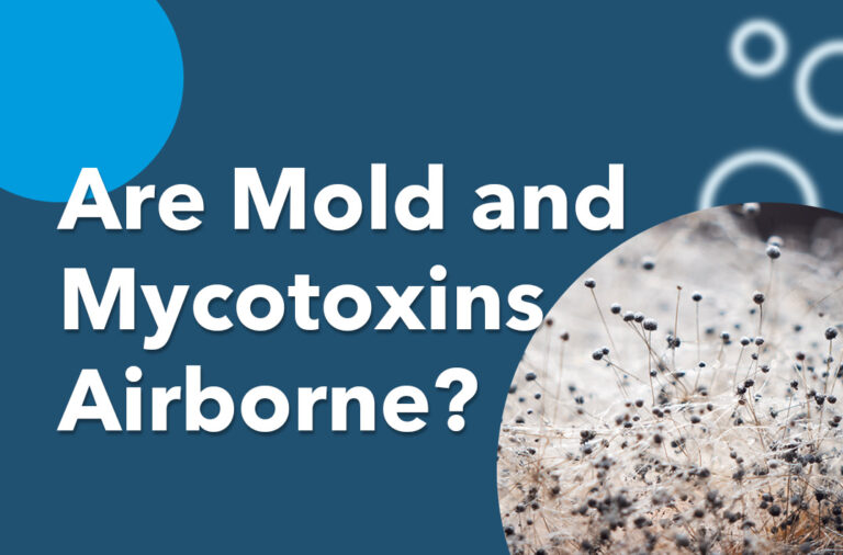 Are Mold and Mycotoxins Airborne?