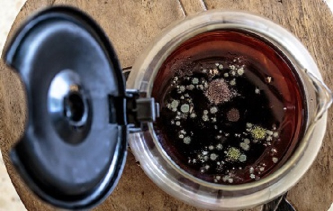 Is There Mold in Your Coffee?