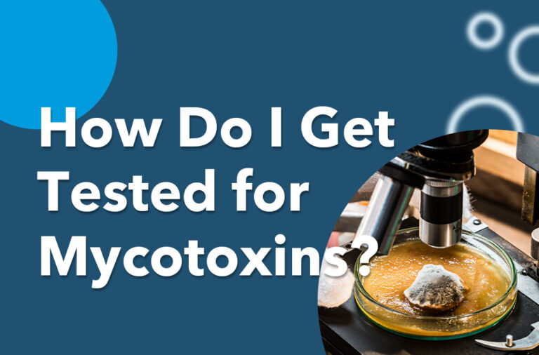 How Do I Get Tested for Mycotoxins?