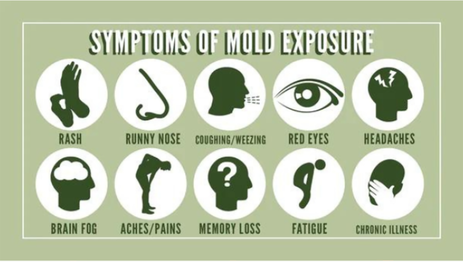 Mold symptoms 18 signs to look out for and how to get help