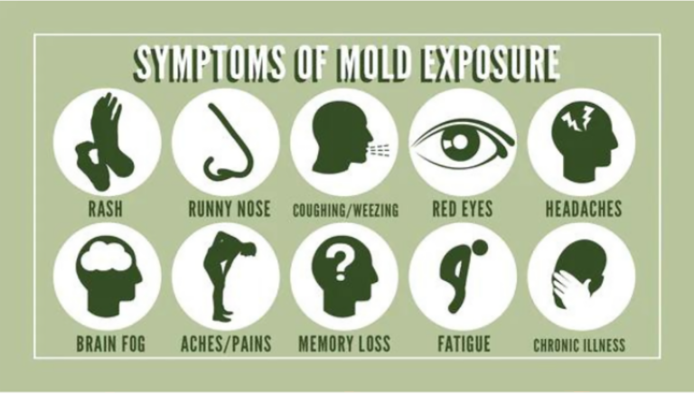 Symptoms of mold and mycotoxins