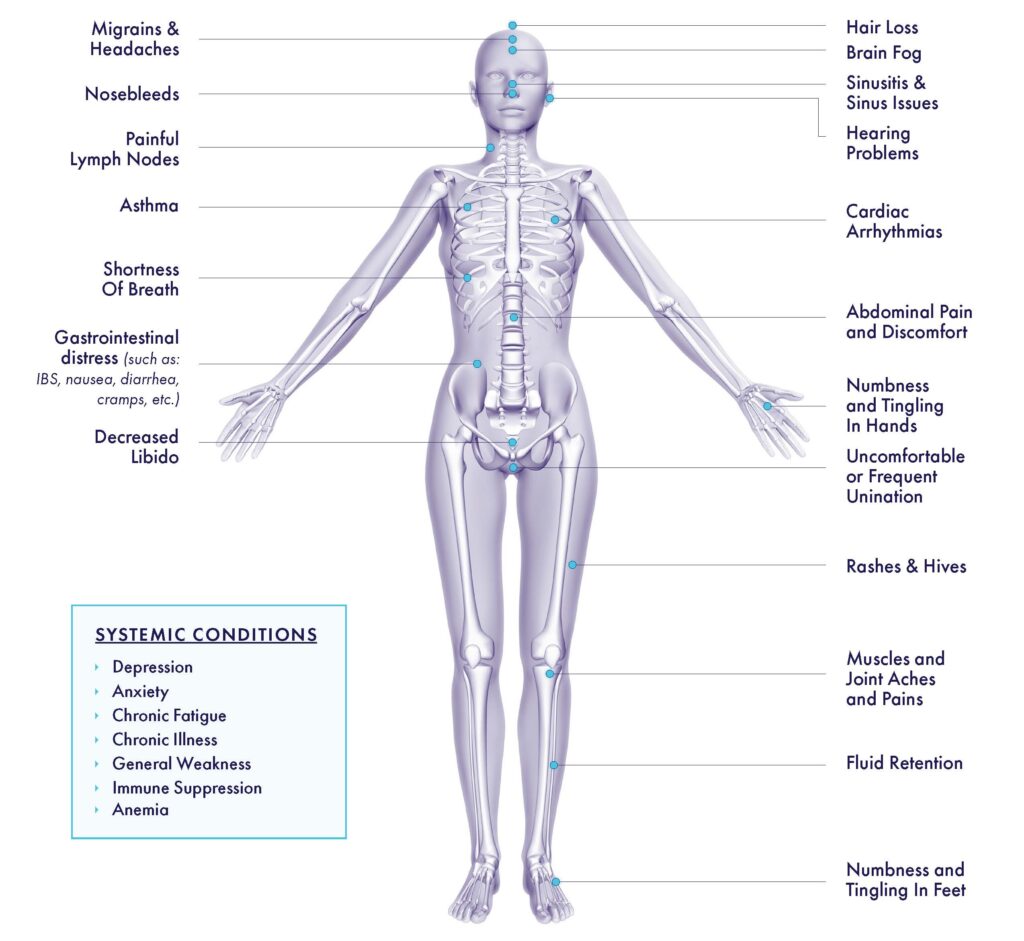 An image with an outline of the body showing variou symptoms that mycotoxins can cause