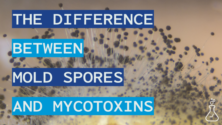 Graphic reads: The Difference Between Mold Spores and Mycotoxins. In the background is a close up image of a mold spore.