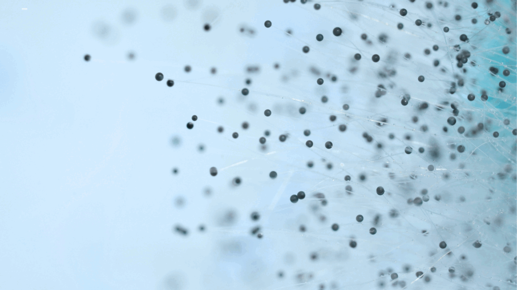 Microscopic mold spores.