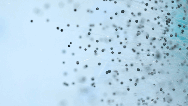Microscopic mold spores.