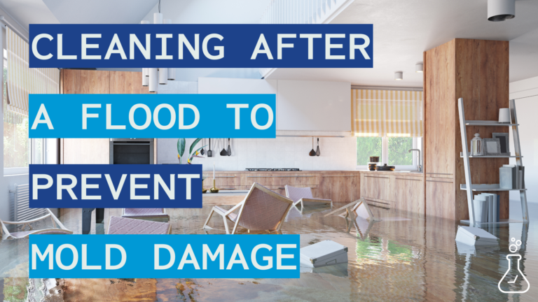 An image of a flooded kitchen with the text "Cleaning after a flood to prevent mold damage"