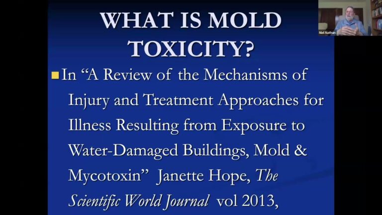 Mycotoxins 101: A Provider’s Guide to Clinical Fundamentals