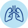Property 1=Lungs