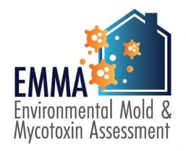 Environmental Mold and Mycotoxin Assessment